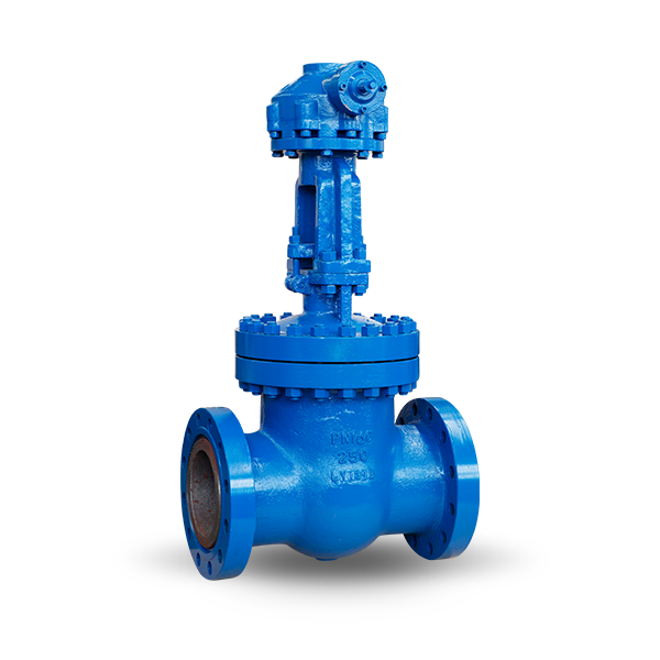 Wedge Gate Valve